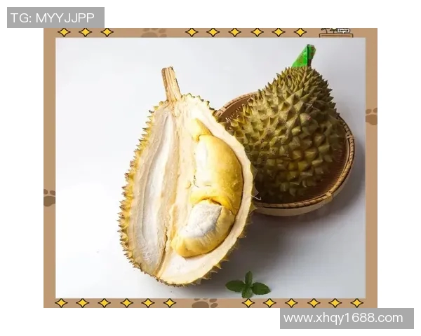 足球明星品尝榴莲的趣事揭秘背后的故事与影响 足球明星品尝榴莲的趣事揭秘背后的故事与影响