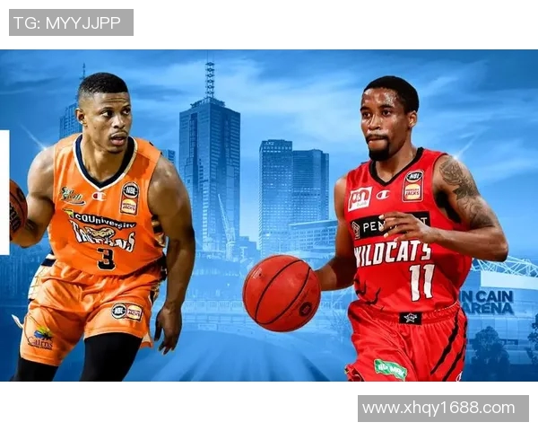 波斯野猫与坎斯大班的精彩对决与生存智慧探讨 波斯野猫与坎斯大班的精彩对决与生存智慧探讨